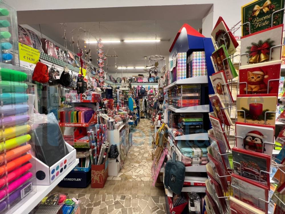 immagine annuncio 2 di 13