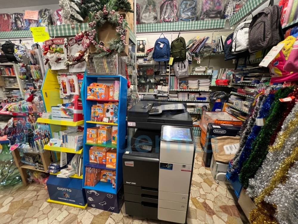 immagine annuncio 5 di 13