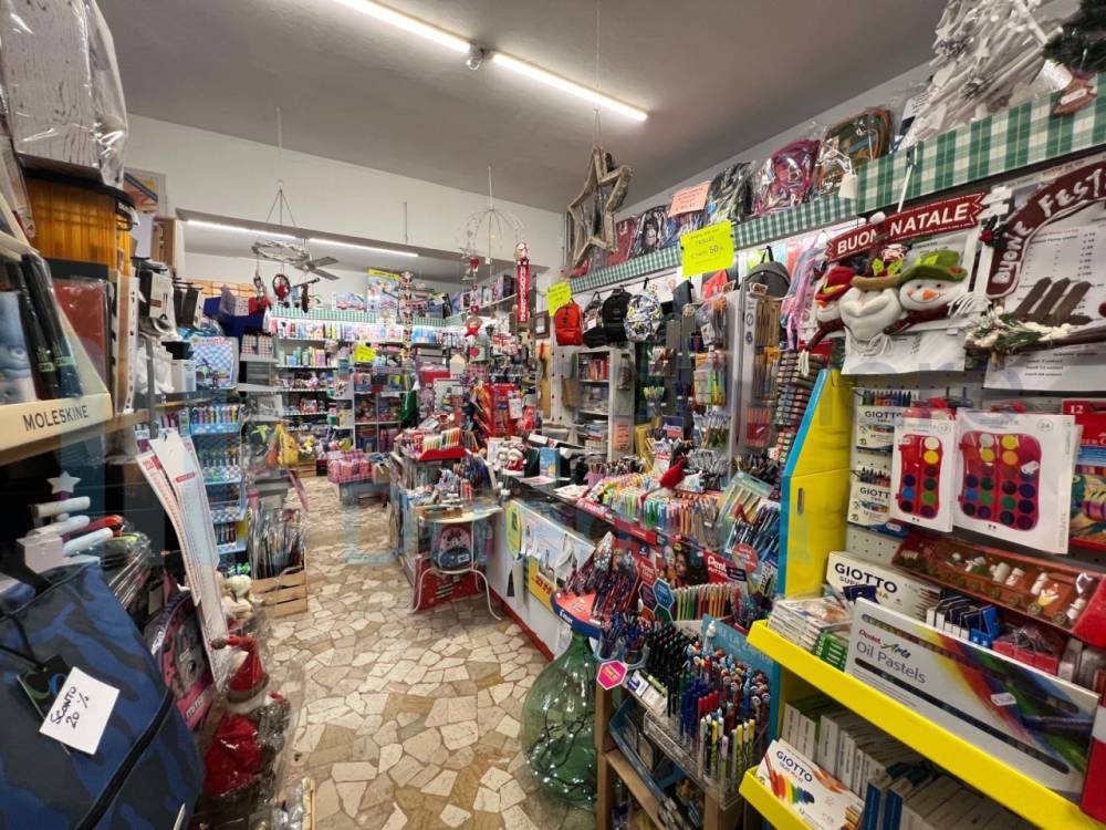 immagine annuncio 7 di 13