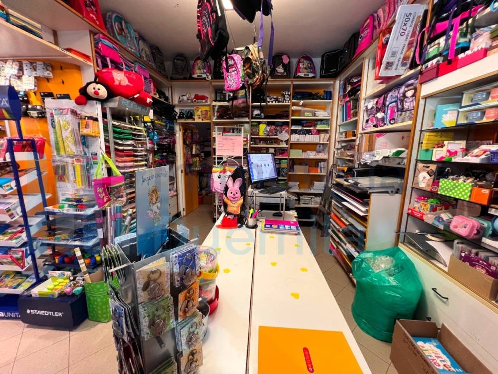 immagine annuncio 2 di 13