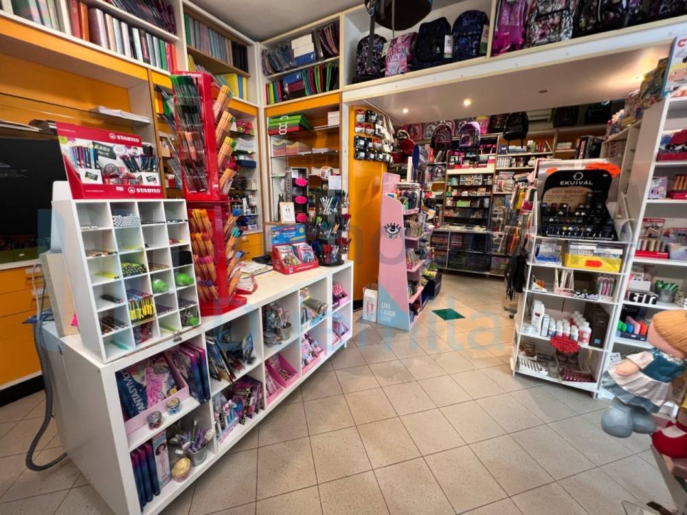 immagine annuncio 9 di 13