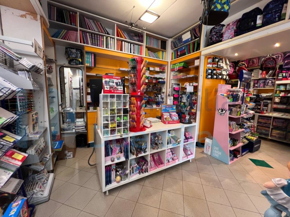 immagine annuncio 10 di 13