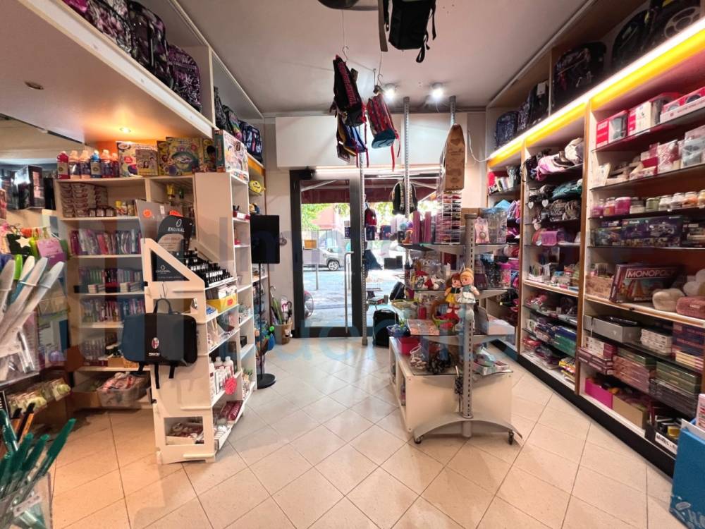 immagine annuncio 12 di 13