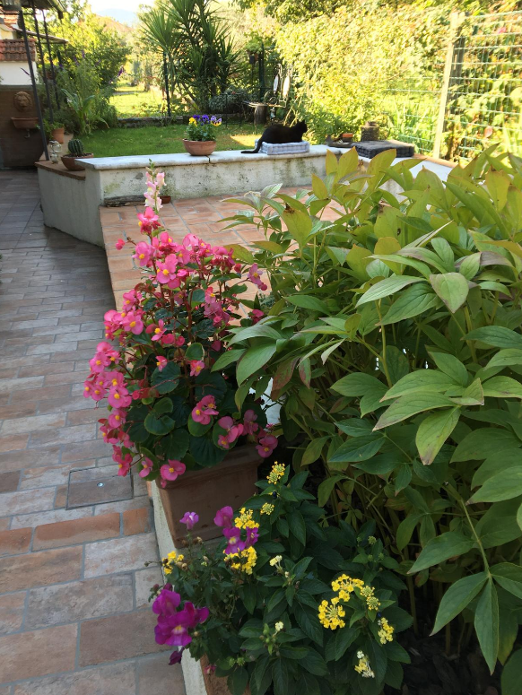 immagine annuncio 2 di 13