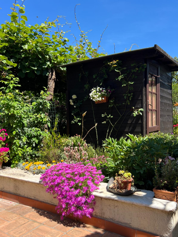 immagine annuncio 5 di 13