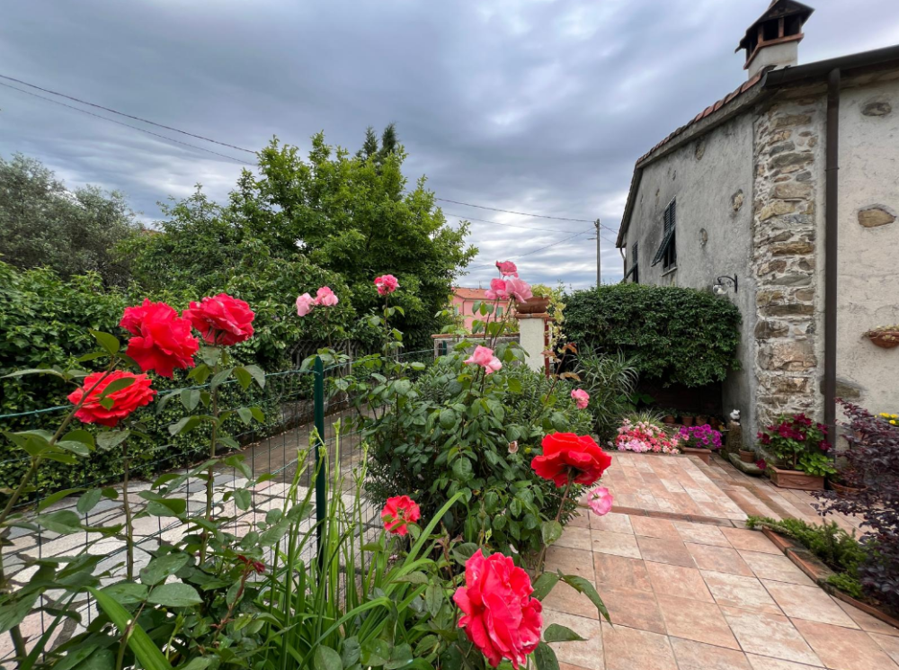 immagine annuncio 6 di 13