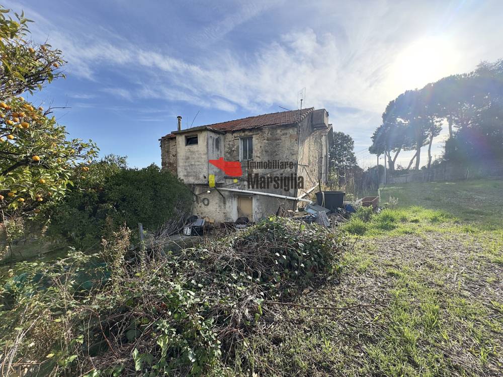 immagine annuncio 9 di 13