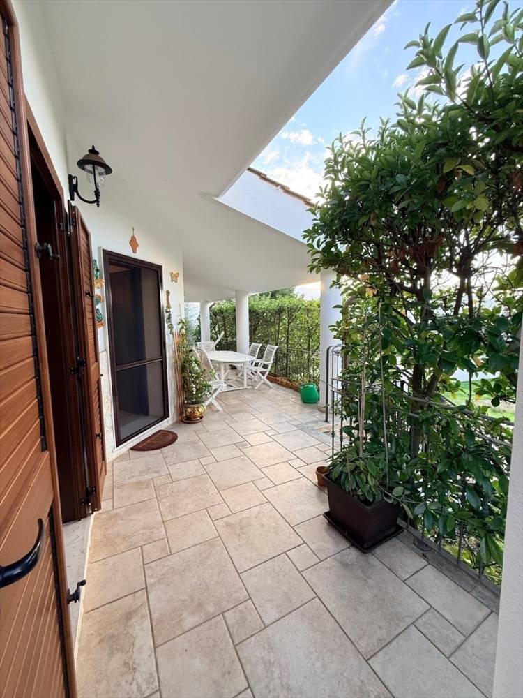 immagine annuncio 9 di 13