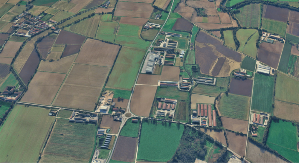 immagine annuncio 6 di 12