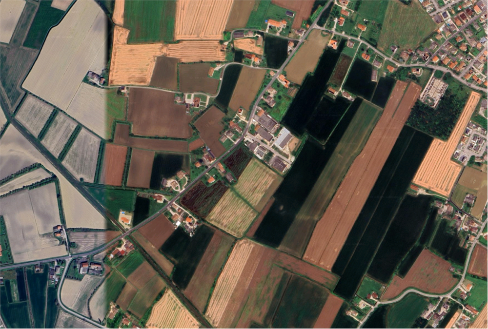 immagine annuncio 1 di 9