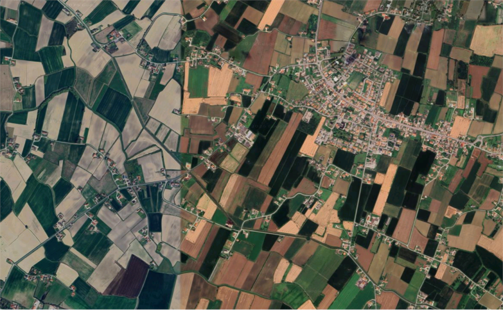 immagine annuncio 2 di 9