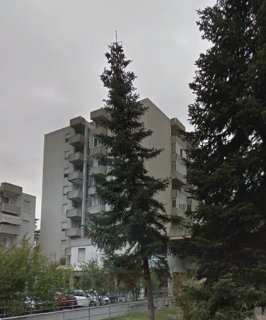 immagine annuncio 5 di 13