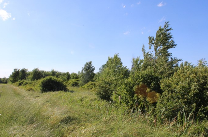 immagine annuncio 1 di 9