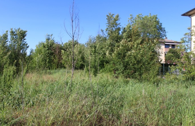 immagine annuncio 3 di 9