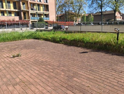 immagine annuncio 3 di 13