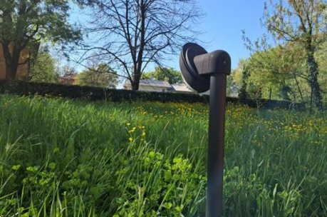 immagine annuncio 11 di 13