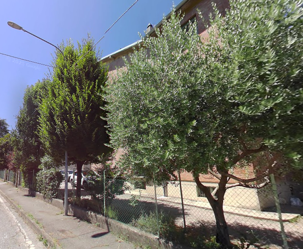 immagine annuncio 11 di 13