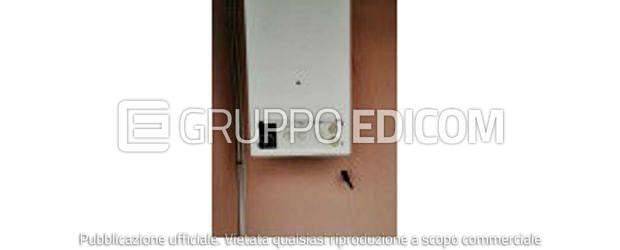 immagine annuncio 7 di 13