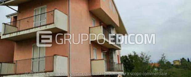 immagine annuncio 11 di 13