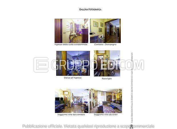 immagine annuncio 8 di 13