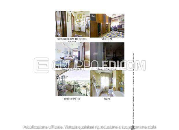 immagine annuncio 9 di 13