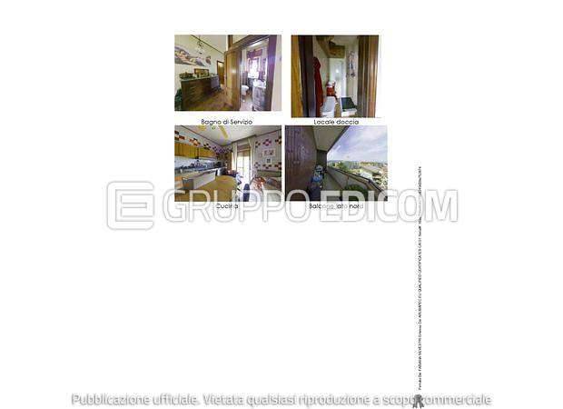 immagine annuncio 10 di 13