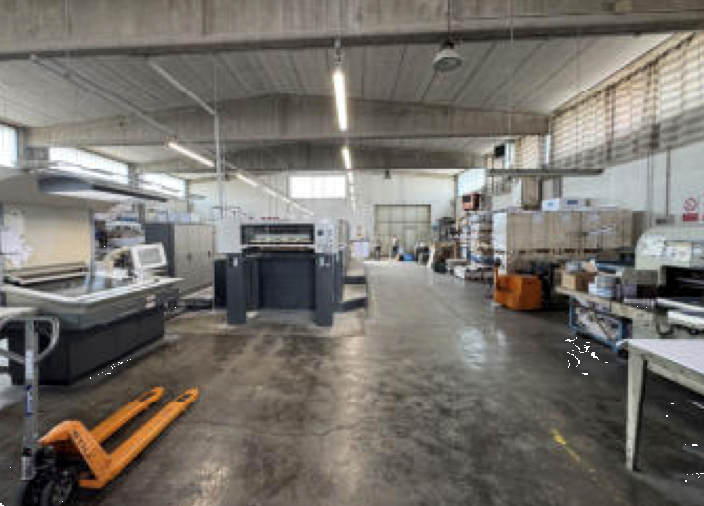 immagine annuncio 12 di 13