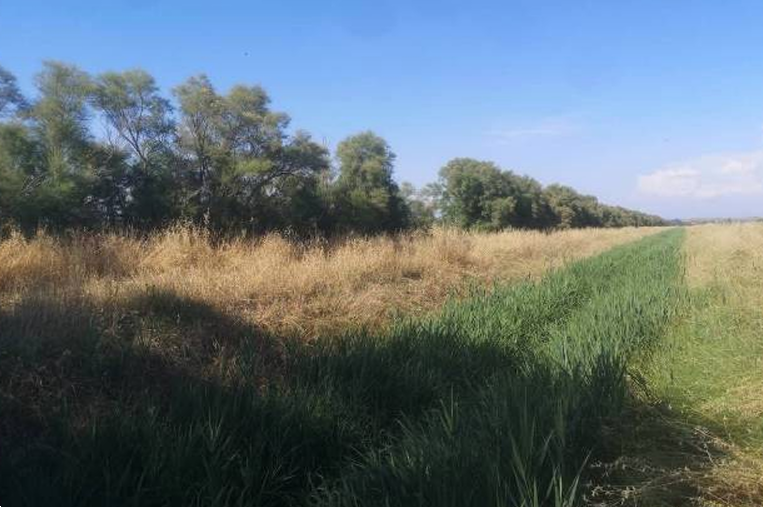 immagine annuncio 9 di 13