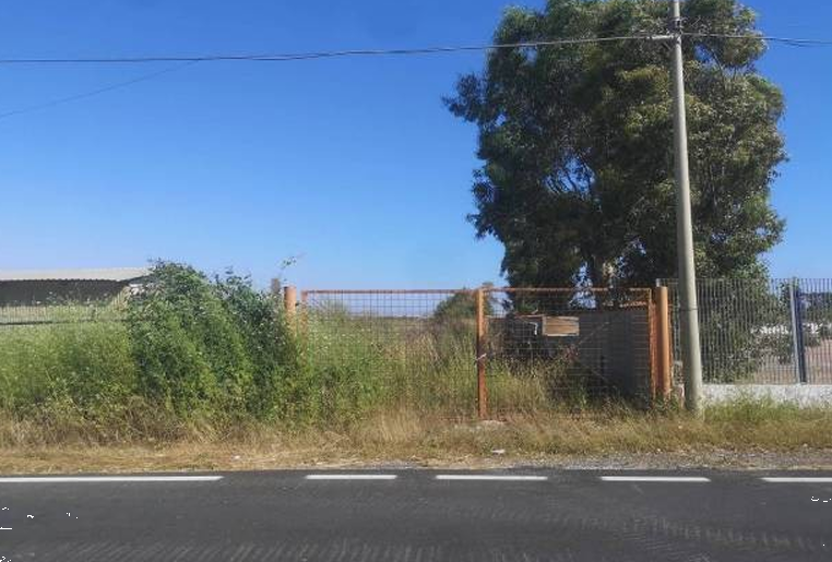 immagine annuncio 10 di 13