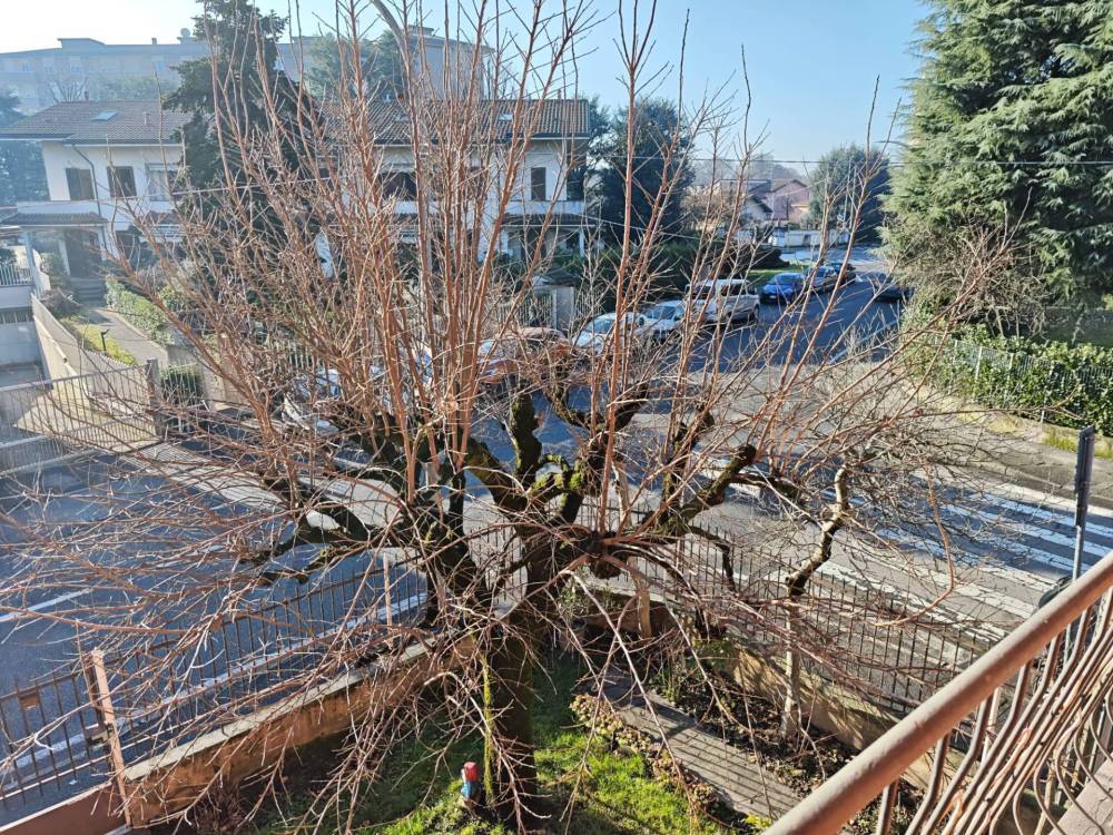 immagine annuncio 1 di 13