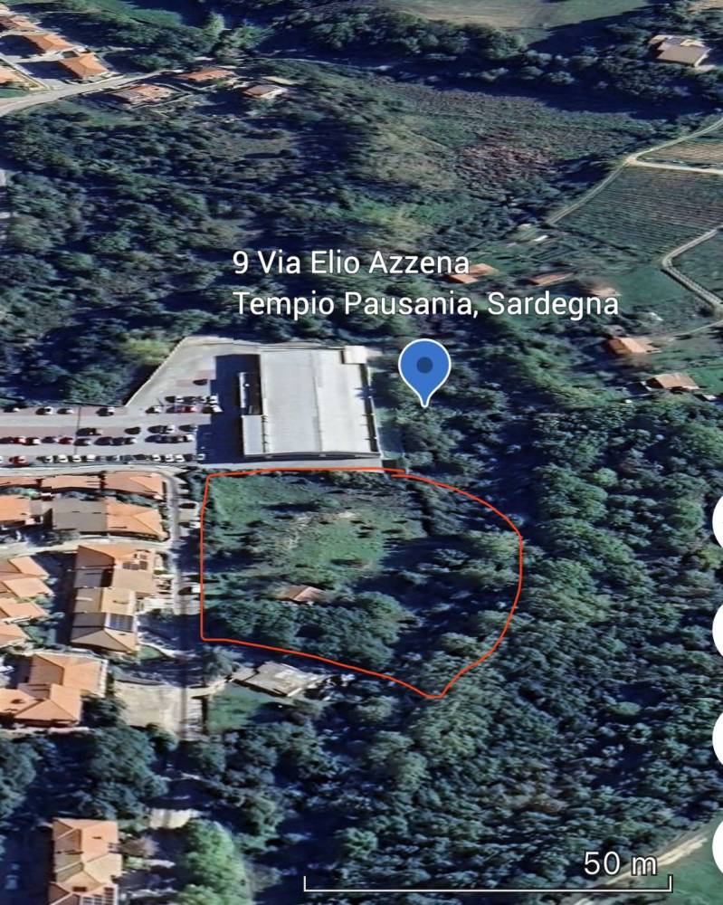 immagine annuncio 3 di 11