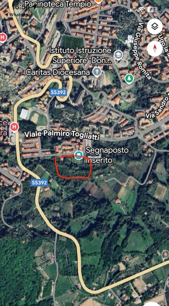 immagine annuncio 6 di 11