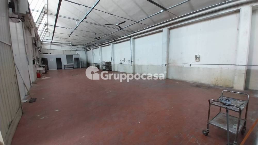 immagine annuncio 10 di 13