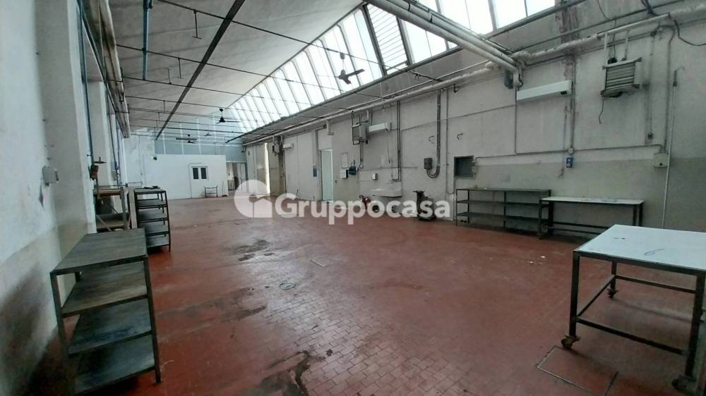 immagine annuncio 6 di 13