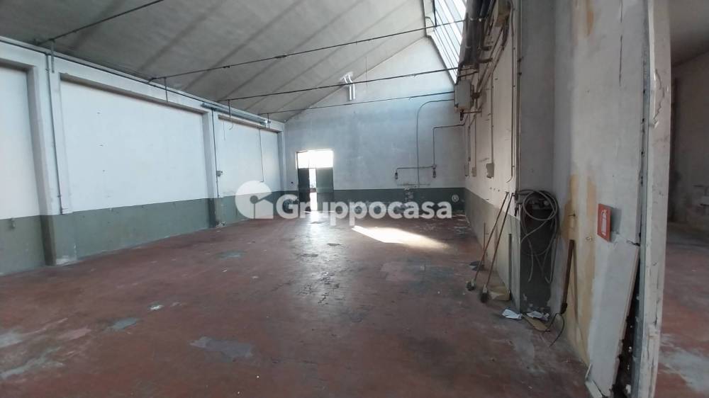 immagine annuncio 1 di 13