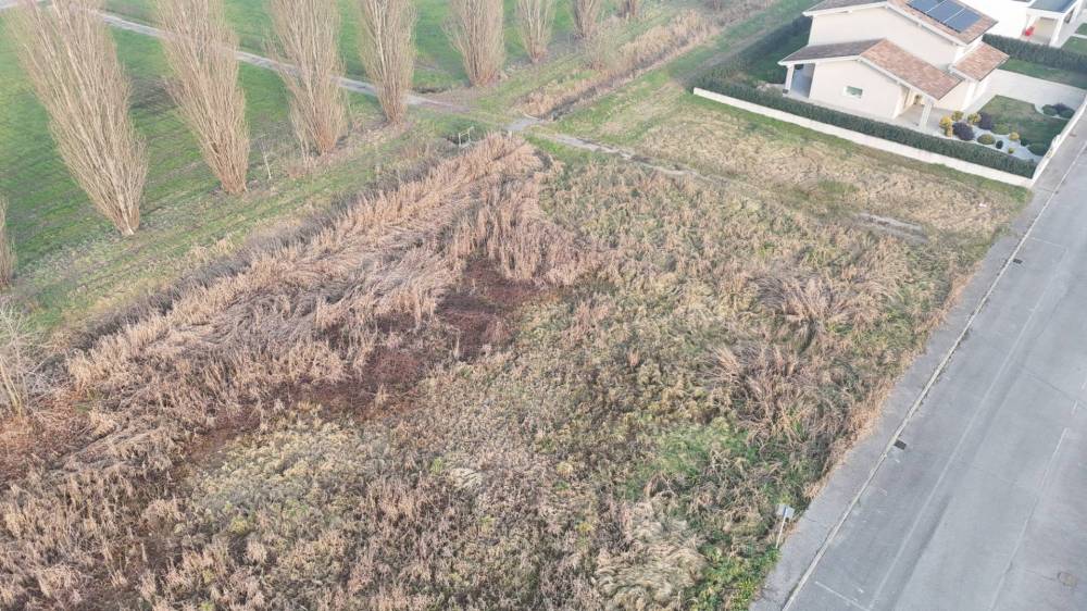 immagine annuncio 1 di 8