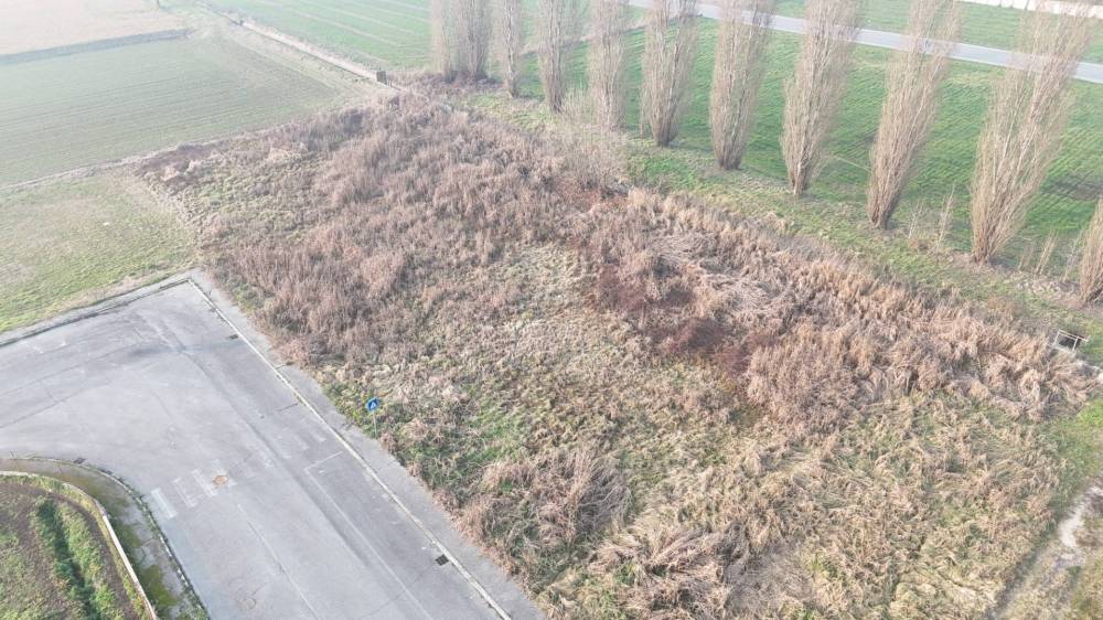 immagine annuncio 2 di 8