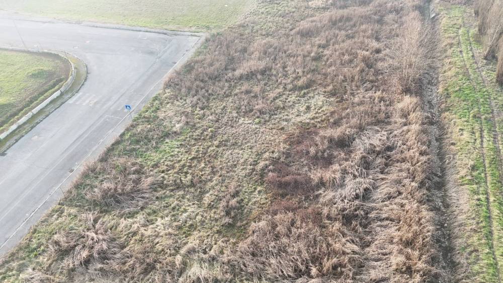 immagine annuncio 3 di 8