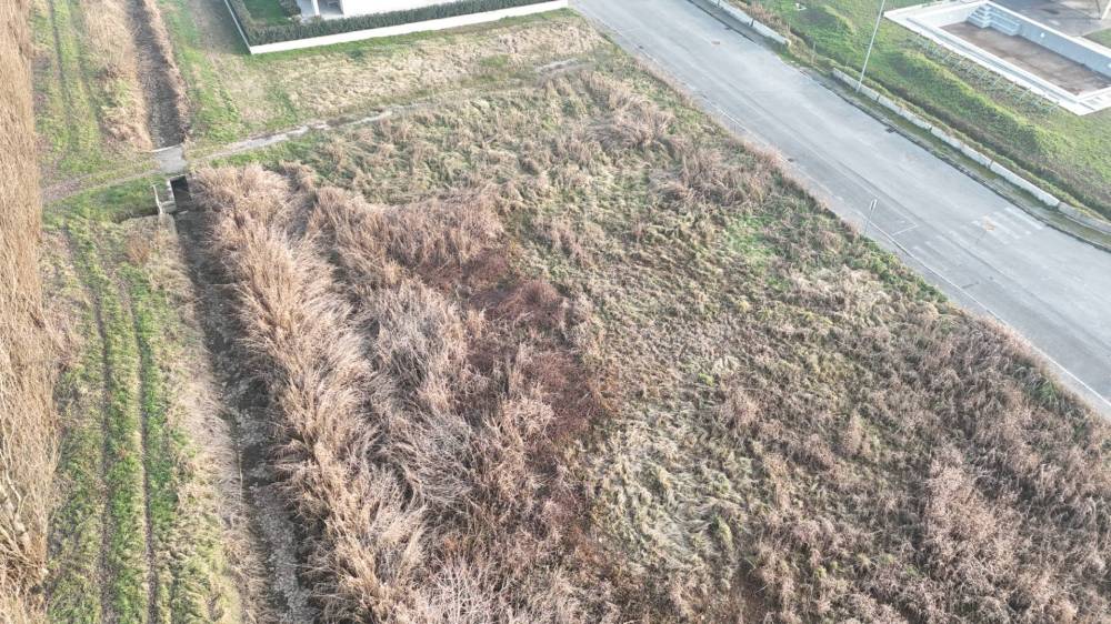 immagine annuncio 4 di 8