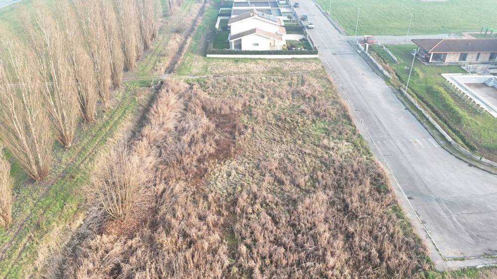 immagine annuncio 5 di 8