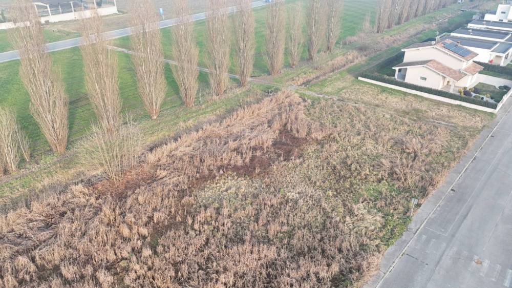 immagine annuncio 6 di 8