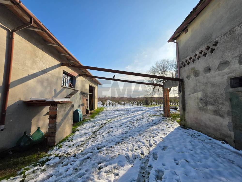 immagine annuncio 1 di 13