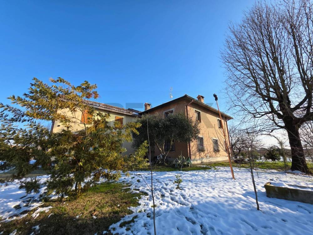 immagine annuncio 4 di 13