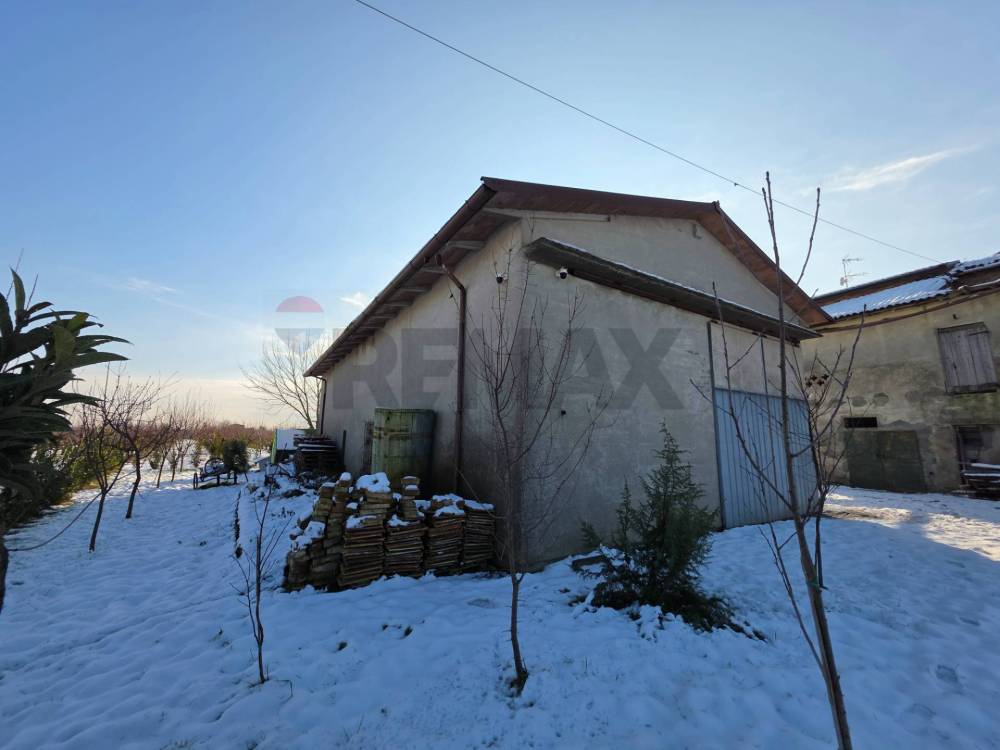 immagine annuncio 5 di 13