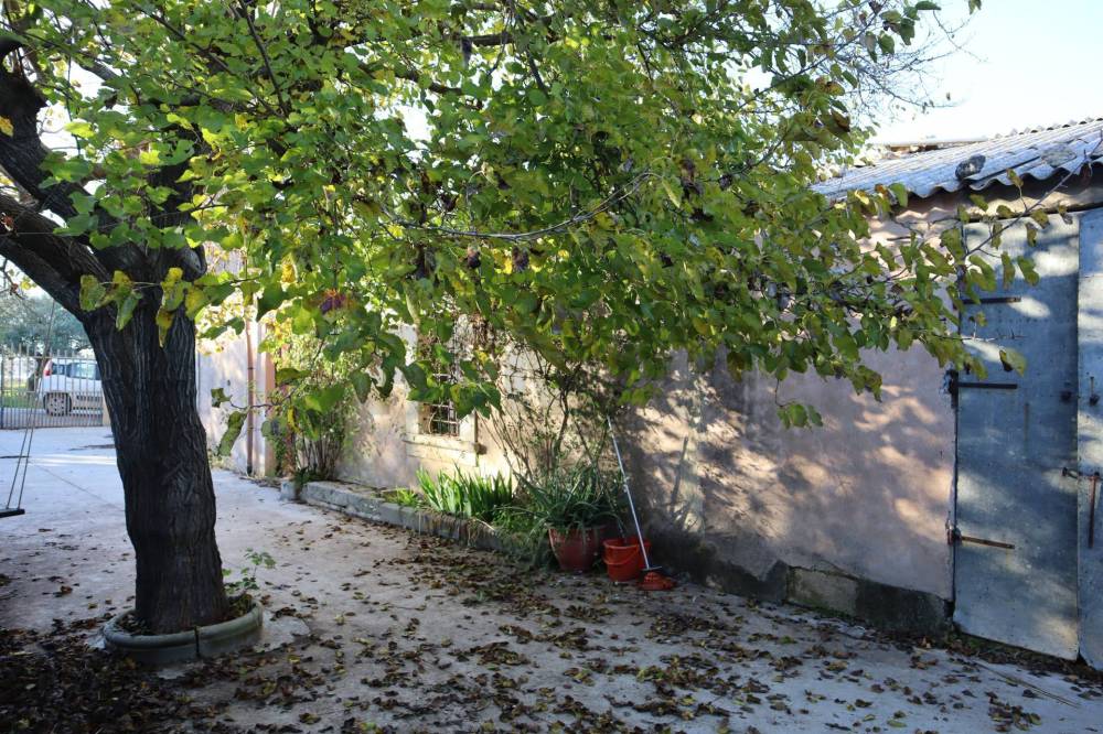 immagine annuncio 10 di 13