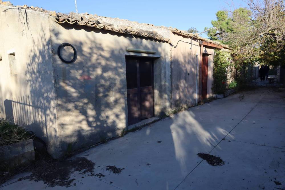 immagine annuncio 11 di 13