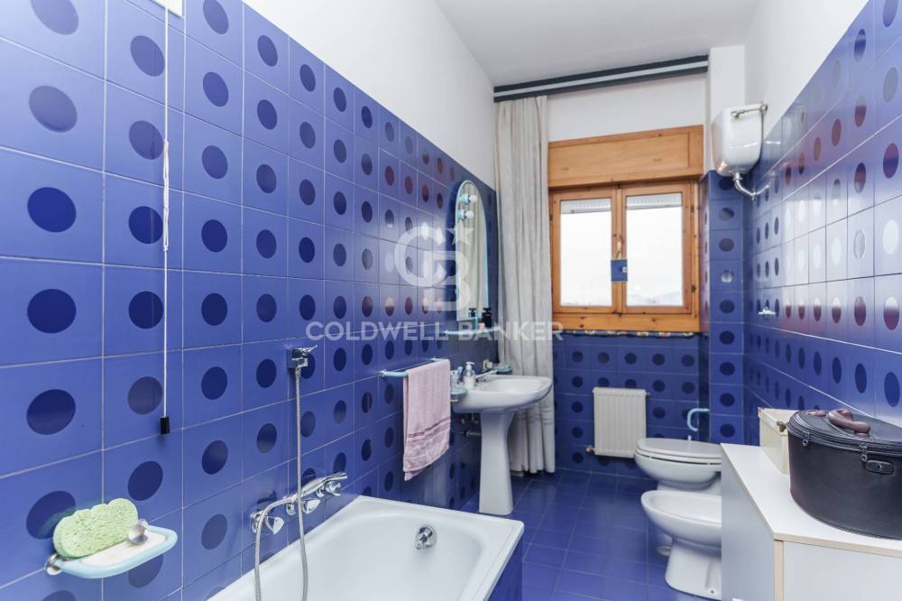 immagine annuncio 6 di 12