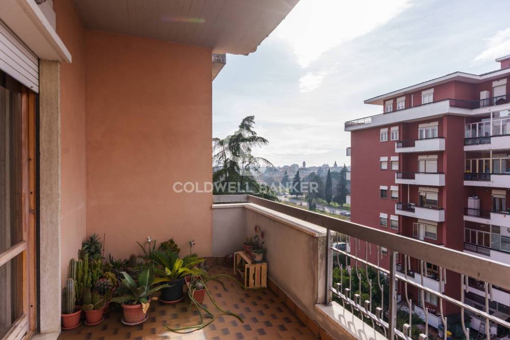 immagine annuncio 8 di 12