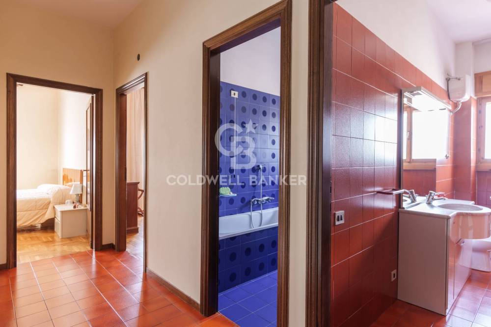 immagine annuncio 5 di 12