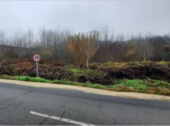 immagine annuncio 1 di 6